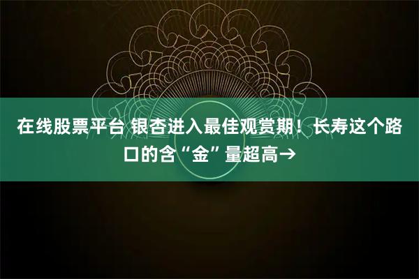 在线股票平台 银杏进入最佳观赏期！长寿这个路口的含“金”量超高→