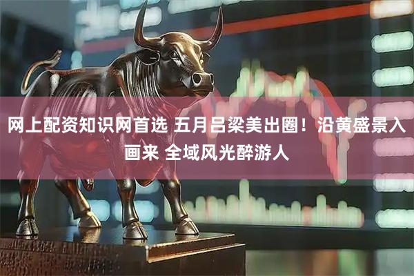 网上配资知识网首选 五月吕梁美出圈！沿黄盛景入画来 全域风光醉游人